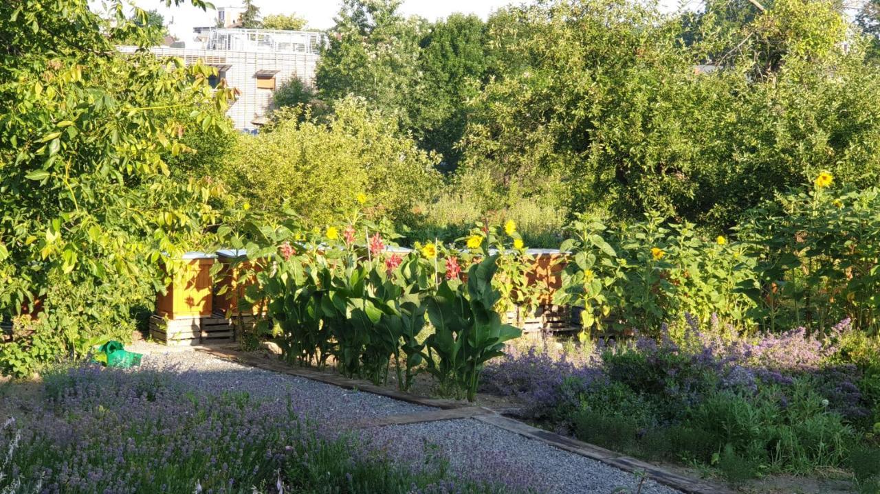 Agroturystyka U Joli Pacanow 외부 사진